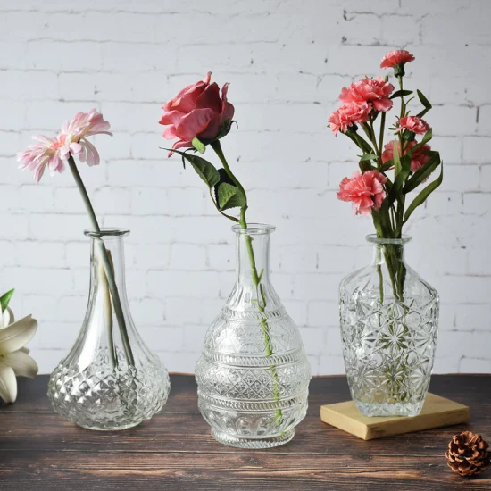 Florero de cristal de estilo moderno Popular, florero decorativo de cristal para plantas, florero de sobremesa para oficina